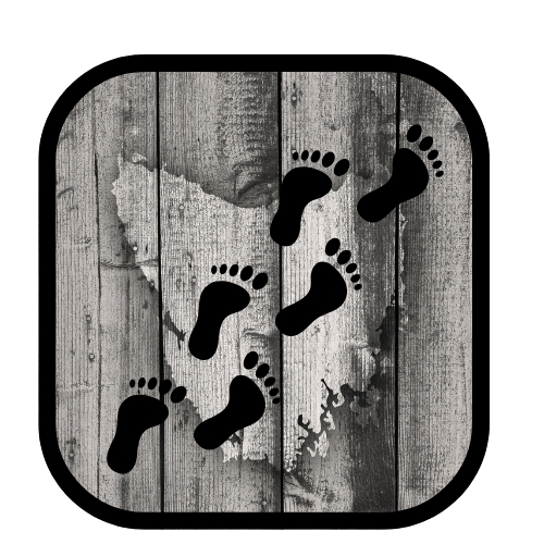 Jay and Kay's Footprints in Tassie